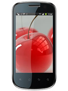 Best available price of Celkon A19 in Lesotho