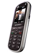 Best available price of Motorola WX288 in Lesotho