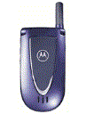 Best available price of Motorola V66i in Lesotho